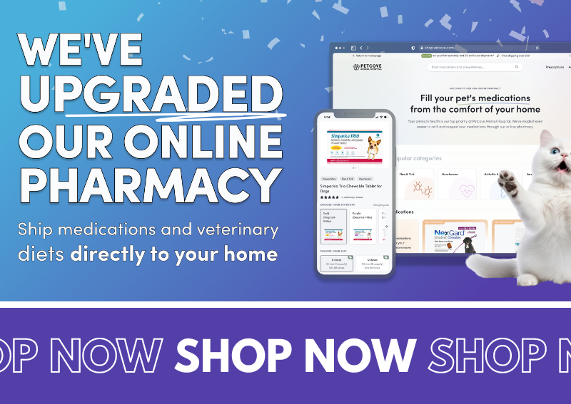 Carousel Slide 2: Shop our new and improved online pharmacy!